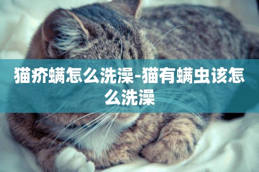 猫疥螨怎么洗澡-猫有螨虫该怎么洗澡